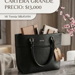 Cartera Grande Negra