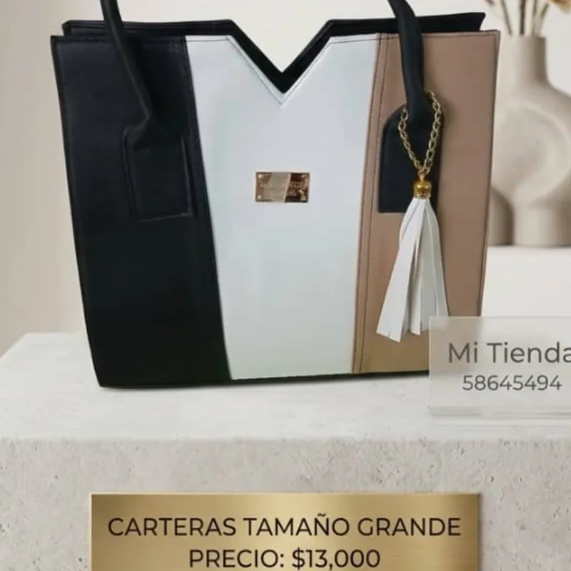 Cartera Grande V