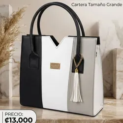 Cartera tricolor negra
