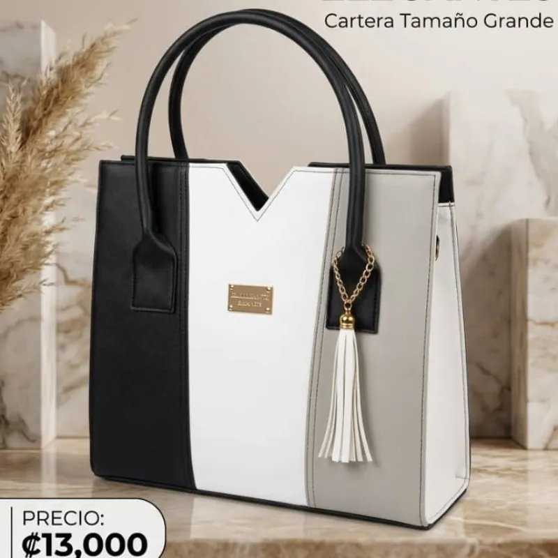 Cartera tricolor negra