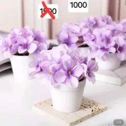 Flores moradas