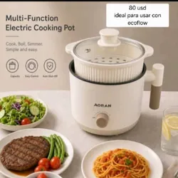 Olla eléctrica multifuncional
