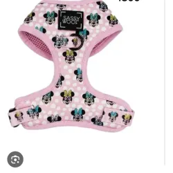 Pechera Minnie