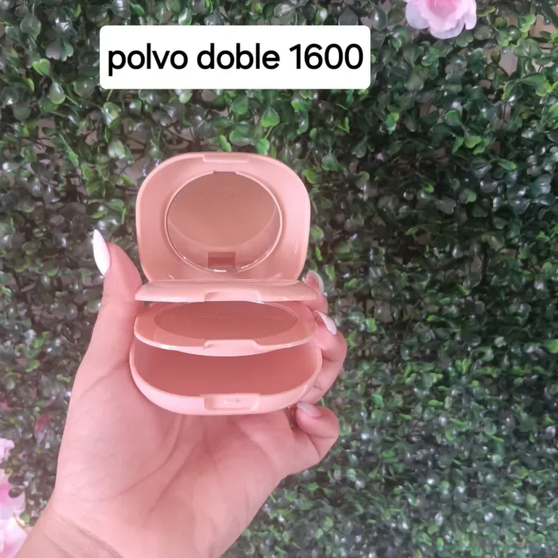 Polvo