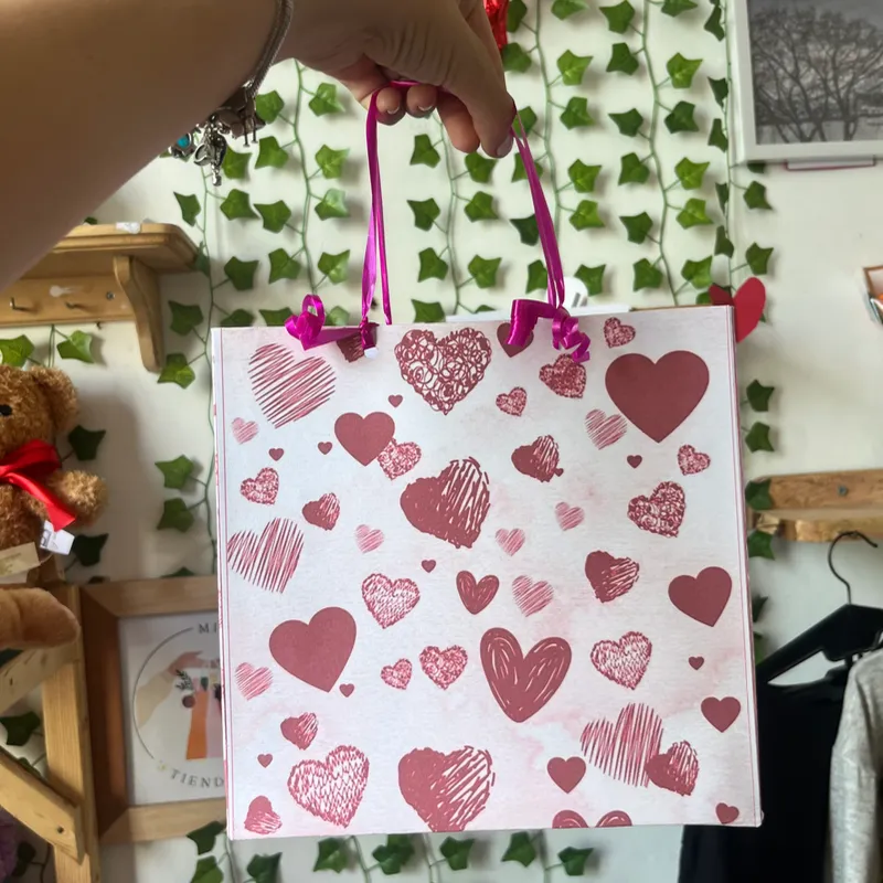 Bolsa de regalo grande ✨