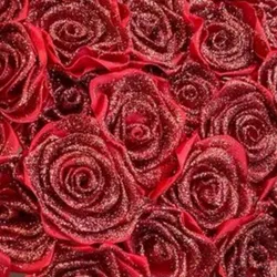 Brillo para rosas ✨