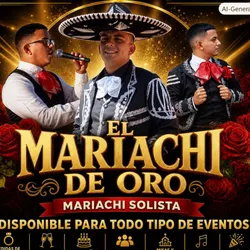 Mariachi de oro 🇲🇽🎤