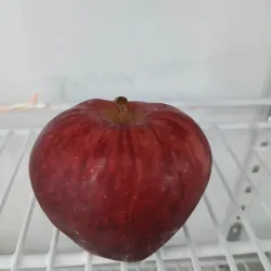 Manzana roja