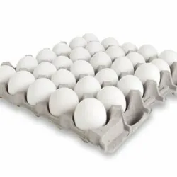 Fili de Huevos