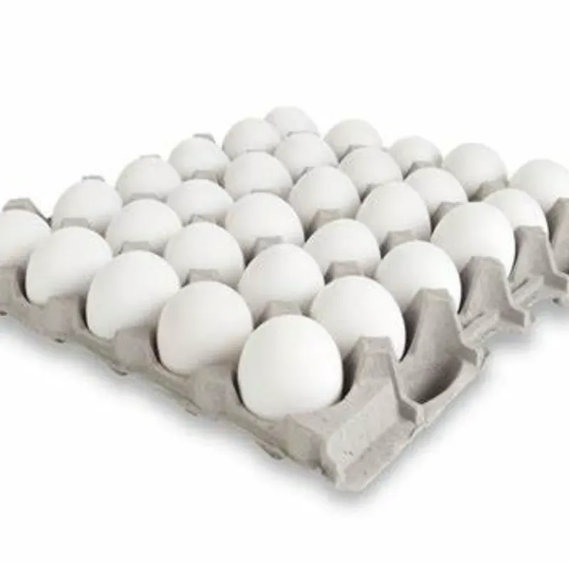 Fili de Huevos