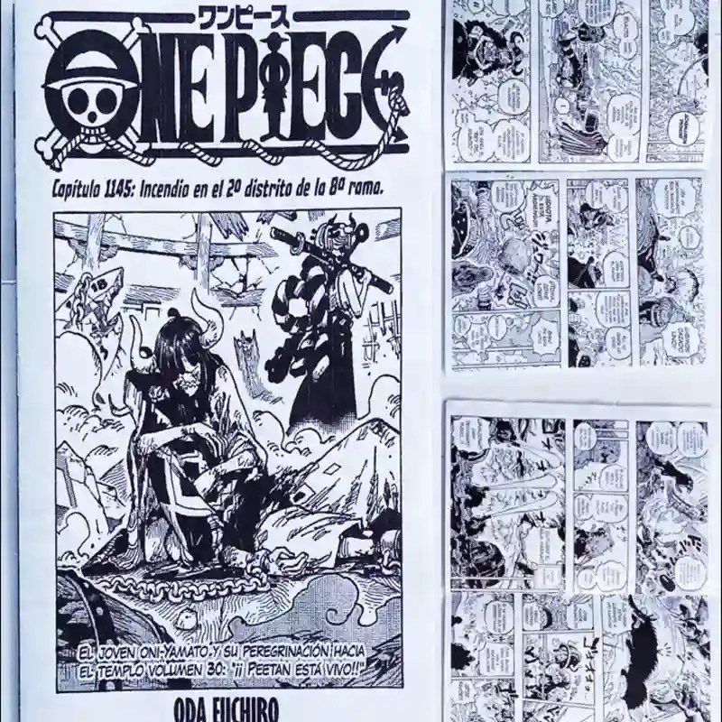 One Piece #1145