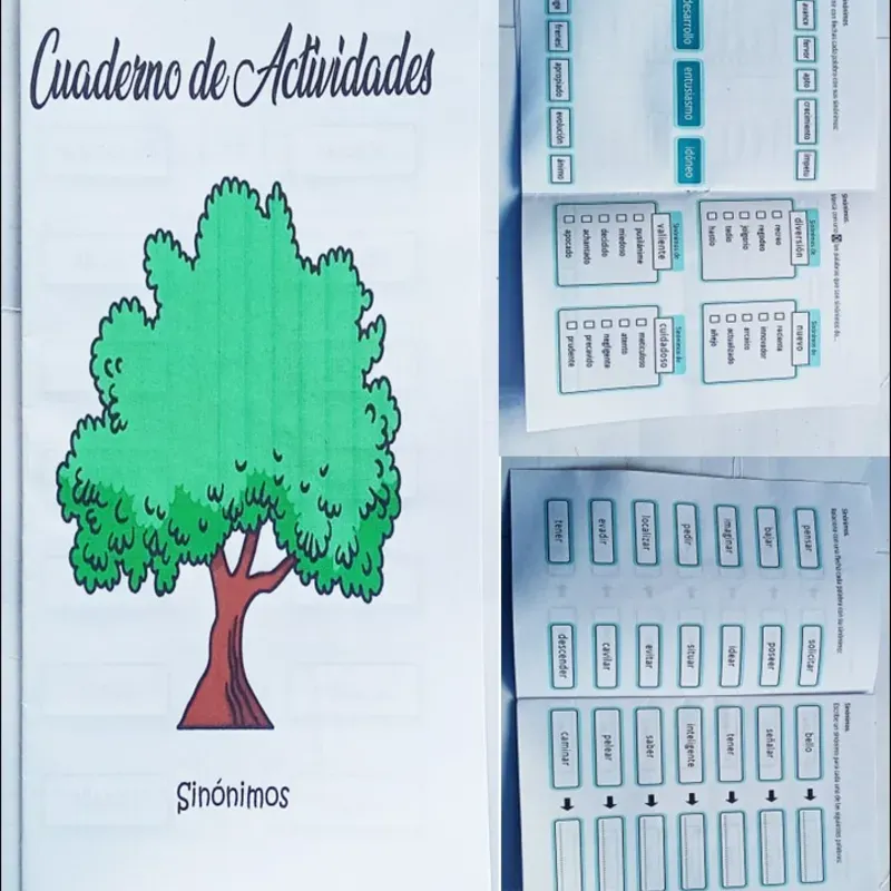 Sinónimos 
