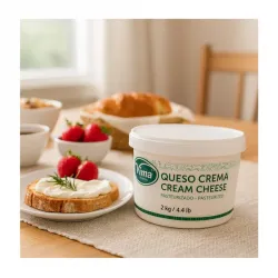 TANQ QUESO CREMA PASTURIZADO 