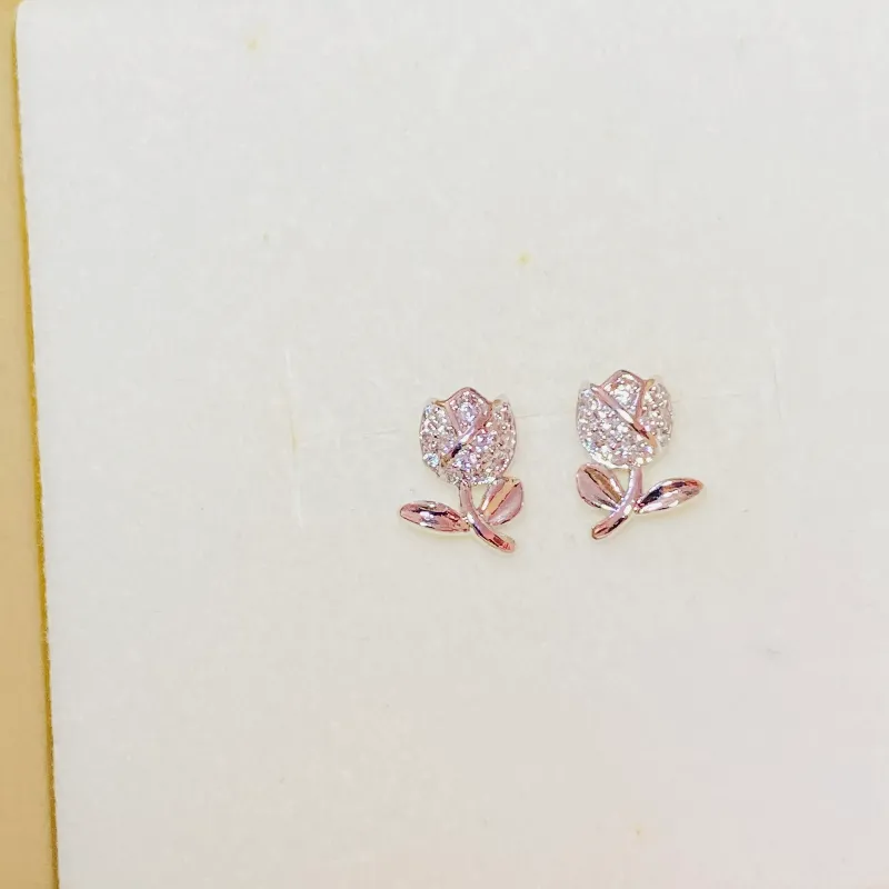 Aretes 🌷Plateados