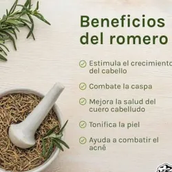 Bolsita de Romero Seco