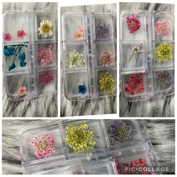 Caja de Naturaleza Seca 