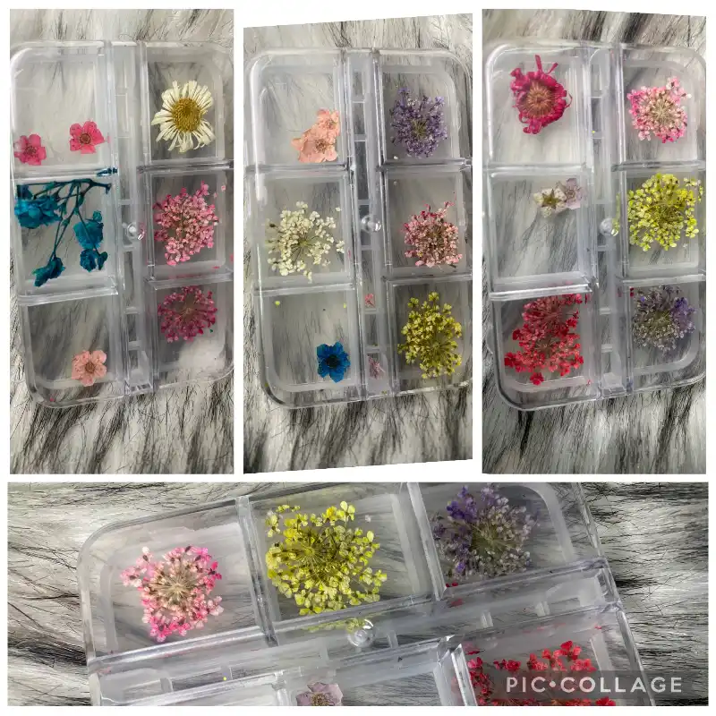 Caja de Naturaleza Seca 