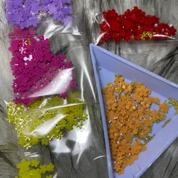 Flores de Resina Diferentes Colores