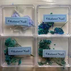Naturaleza Seca Azul