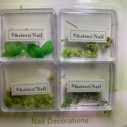 Naturaleza Seca Verde