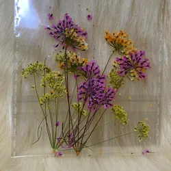 Sobre de Naturaleza Seca Naranja-Rosada-Amarilla 
