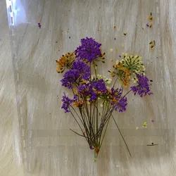 Sobre de Naturaleza Seca Violeta- Naranja-Amarilla 