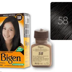 Tinte Bigen 58 Negro Natural