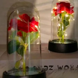 Rosa eterna luminosa