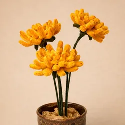 Crisantemos