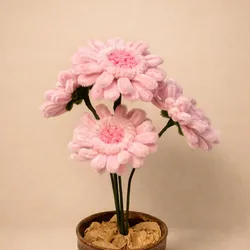 Gerbera