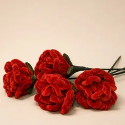 Rosas