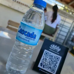 Agua Purificada 500ml