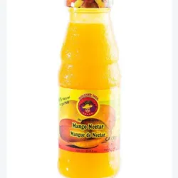 Nectar de Mango 250ml