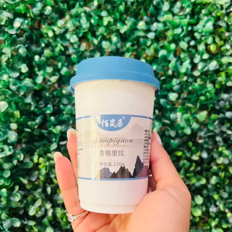 Ambientadores en Gel