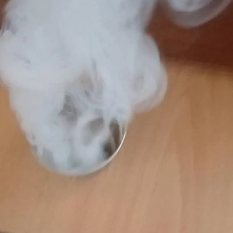 🦟Bomba de humo para eliminar insectos🦟