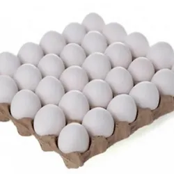 Cartón de huevos