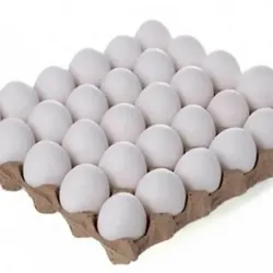 Huevos