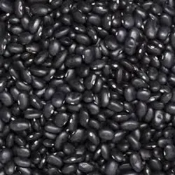 1kg Frijol Negro Fresco