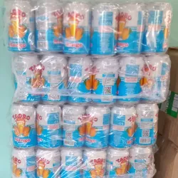CAJA 24 LATAS NÉCTAR MANGO TAORO