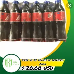 Caja de 24 Pomo de PepsiCola 