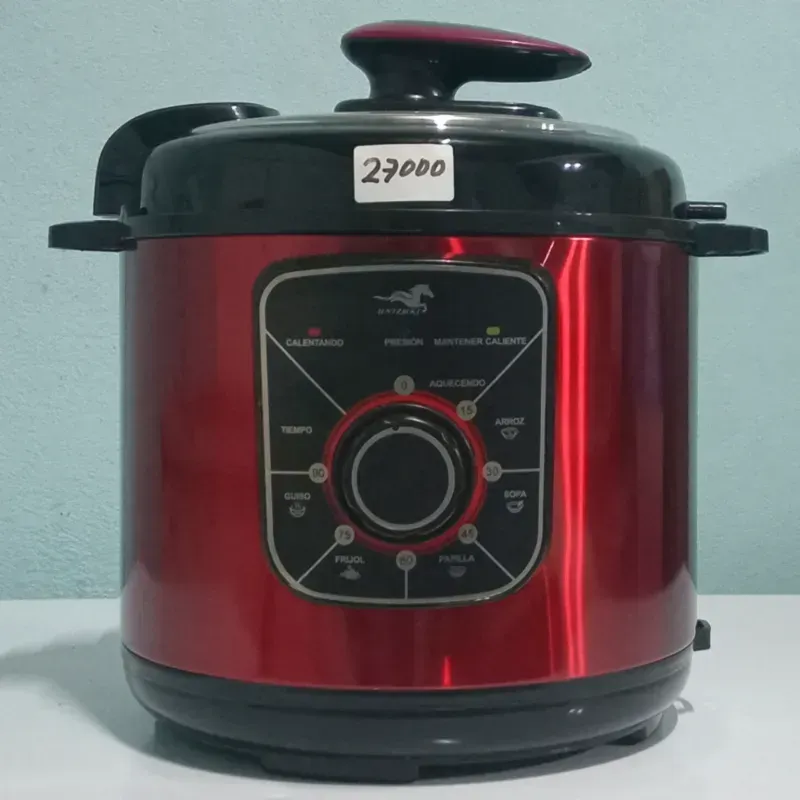 Olla Reina 6L