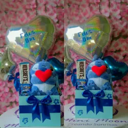 Ancheta tematica de stich 