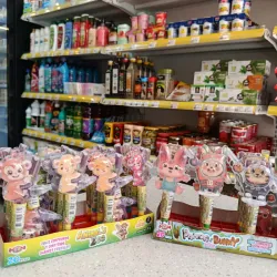 Panda (Animal Zoo) (u)