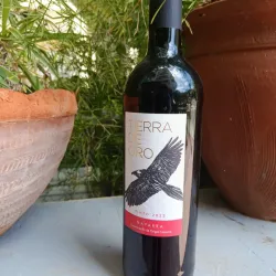 Vino Tinto Tierra de Oro Navarra