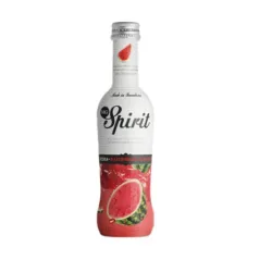 Vodka melón MG