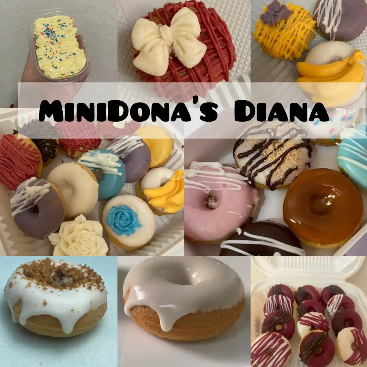 MiniDona's Diana