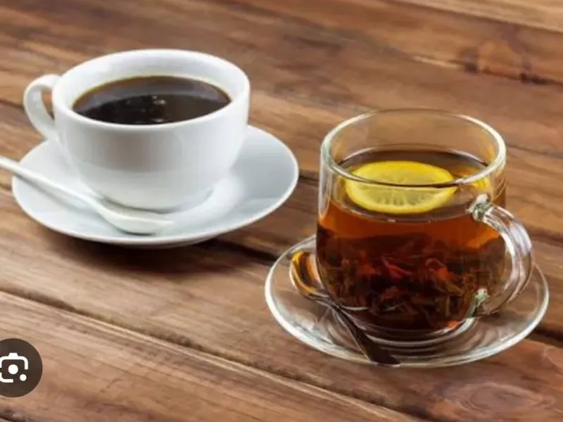 Café e infusiones