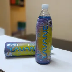 Detergente Liquido 1L
