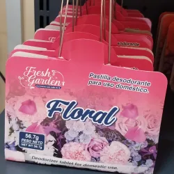 Pastilla Desodorante doméstica