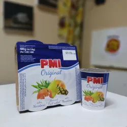 Yogurt Saborizado 100g